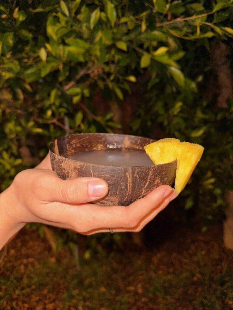 a photograph of hands holding a coconut shell containing kava with a slice of pineapple on the rim, taken at night.